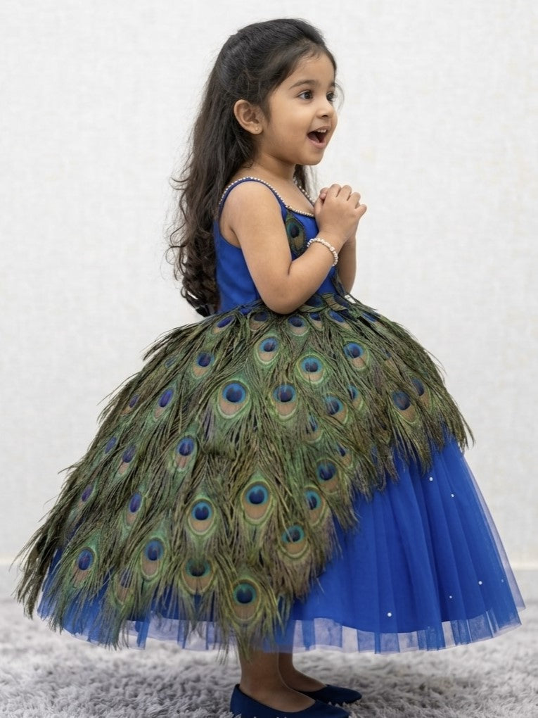 Peacock Dress for Girl Baby Online, Royal Blue Peacock Feather Ball Gown