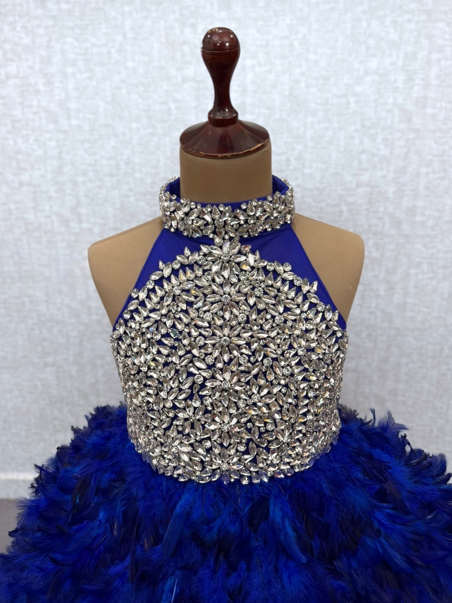royal blue Feathered Ball Gown with Stone Embroidery Bodice