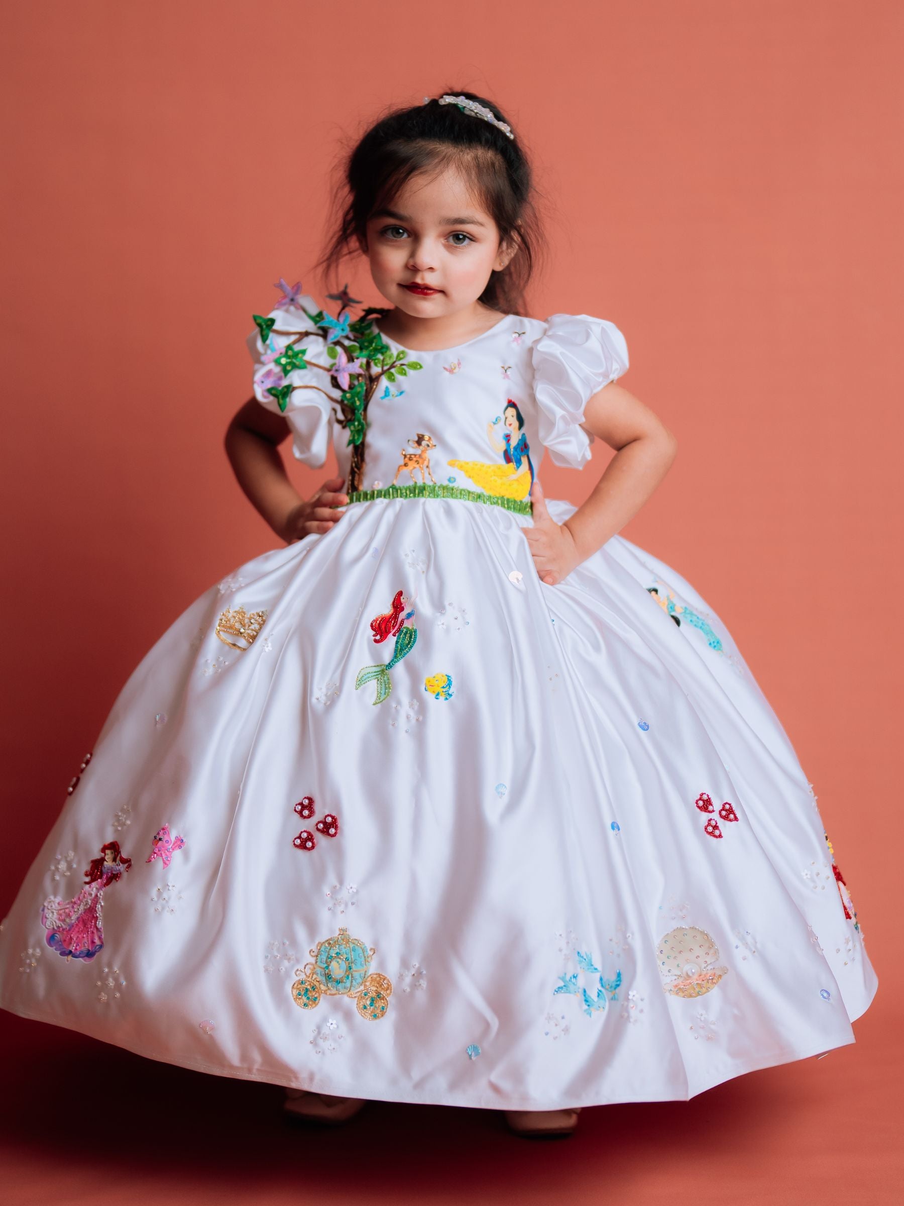 DISNEY BALL GOWN WITH HAMD EMBROIDERED CHARACTERS