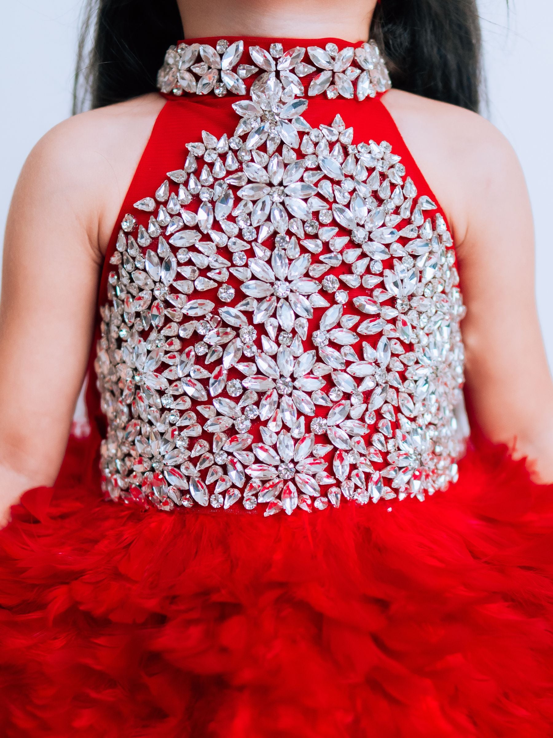 Feathered Ball Gown with Stone Embroidery Bodies