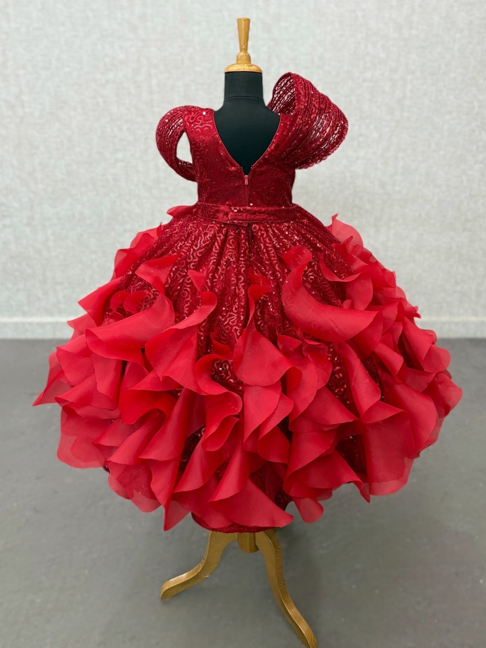Princess Gown Online, Red Sequin Organza Dress