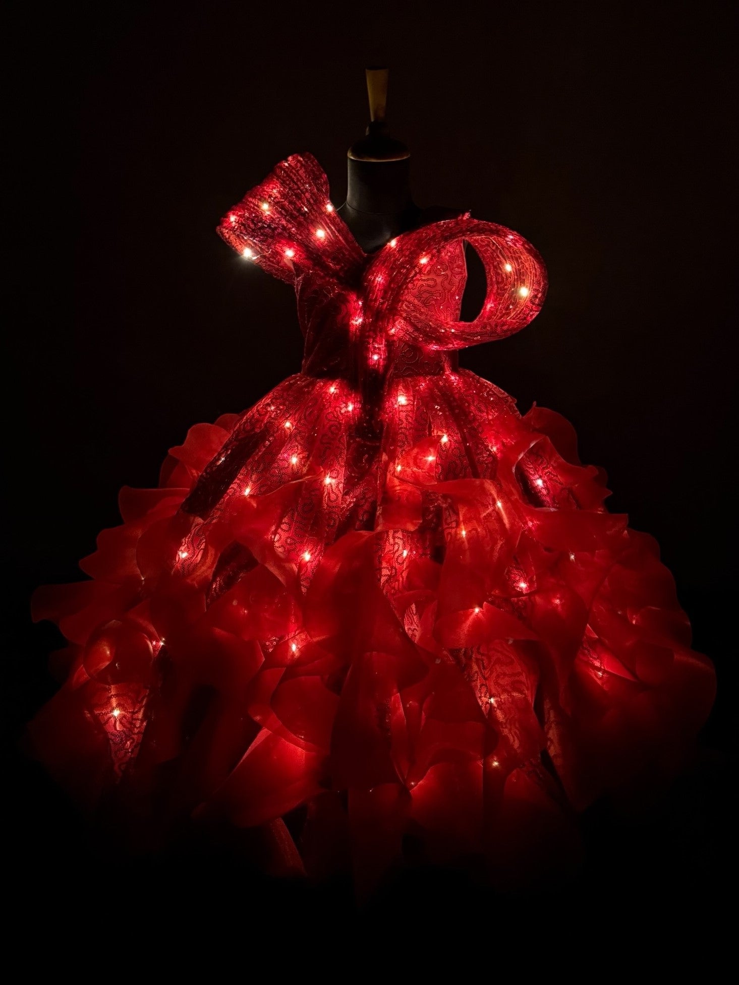 Princess Gown Online, Red Sequin Organza Dress