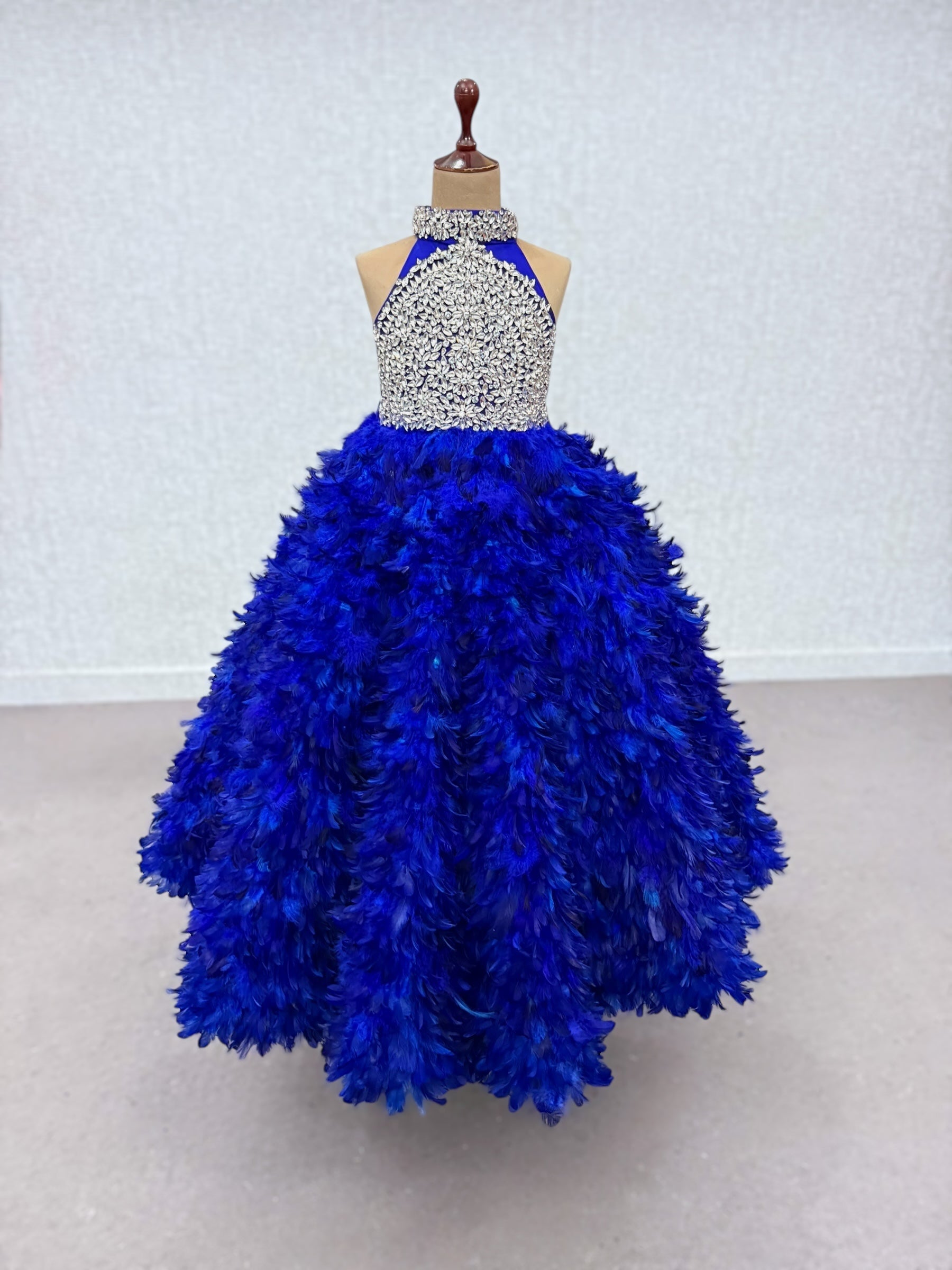 royal blue Feathered Ball Gown with Stone Embroidery Bodice